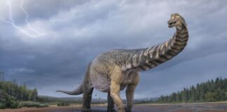 13 Biggest Dinosaurs To Ever Lived On Earth
