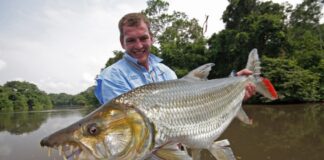 5 Large Animals With Goliath In Their Names